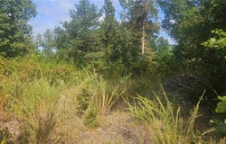 TBD Hwy 818, Clarksville, AR 72830