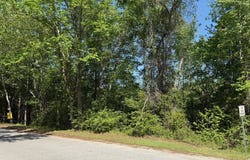 0 Haseldon  Drive, Manning, SC 29102