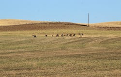 TBD County Road 29, Craig, CO 81625
