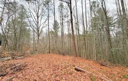 Shumate Mountain Road, Hays, NC 28635