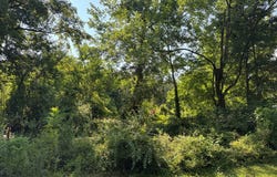 124 Oak Point Rd., Picayune, MS 39466