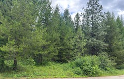 NHN Jewel Lane lot: 23, Trout Creek, MT 59874