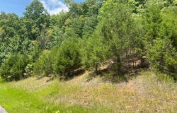 Citron Lane, New Tazewell, TN 37825