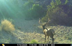 000 TBA, Quemado, NM 87829