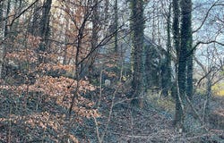 521 Brunty Fork, Canada, KY 41519