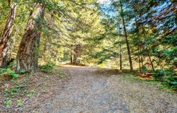 Moore Homestead Road, Philo, CA 95466