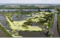 0 Hwy 333, Abbeville, LA 70510