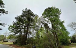 520 Mallard Drive, Sumter, SC 29150