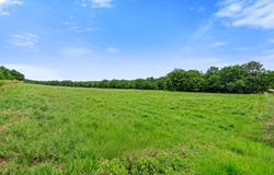Highway H Tract 2, Pleasant Hope, MO 65725