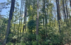 387 Founders Oak Way, Yemassee, SC 29945