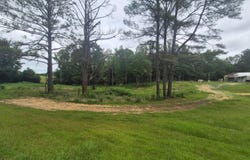 1212 CO RD 68, Guin, AL 35563