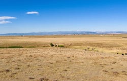 CR 82, Wellington, CO 80549