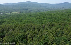 0 Larsen Dr, Windham, NY 12496