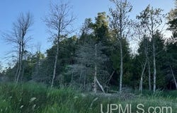TBD Juniper AA, Rapid River, MI 49878