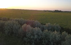 39494 165th St, Ashton, SD 57424