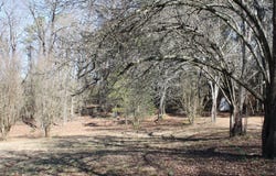 Fox Run, Nashville, AR 71852