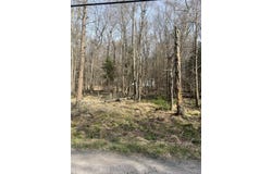 Lot 719 Elk Run Road, Pocono Lake, PA 18347