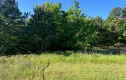 619 W Broadway Street, Big Sandy, TX 75755