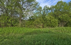 State Highway N, Clinton, MO 64735