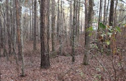 0 Grandview, Mansfield, GA 30055