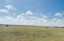 Tbd 201acres County Road 419, Rochelle, TX 76872