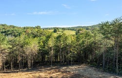 W Hills Drive lot: #3, Mosheim, TN 37818