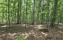 300 Canaan Lane, Rising Fawn, GA 30738