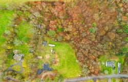 Locust, Raynham, MA 02780