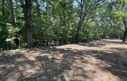 00 Euchee Road, Ten Mile, TN 37880