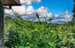 325 Weoka, Ellijay, GA 30540