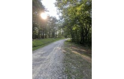 Running Deer, Crab Orchard, TN 37723