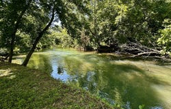 29258 Kapok Drive, Stark City, MO 64866