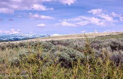 2075 MOOSE PATH Way, Tetonia, ID 83452