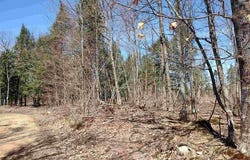 TBD Black Creek Road, Skanee, MI 49962