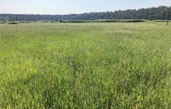 Tbd County Road 531/340, Los Ojos, NM 87575