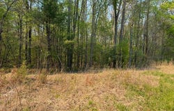 Ironsburg Road, Tellico Plains, TN 37385