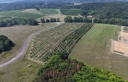 V/L N Matheson Road, Northport, MI 49670