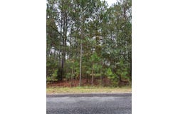 Whispering Pines Dr lot: 19, Rochelle, GA 31079