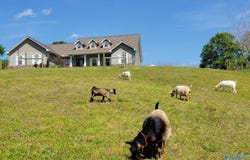 256 Pentecost Road, Eva, AL 35621