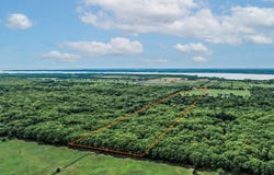 FM 2101, Quinlan, TX 75474