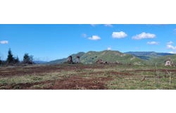 318-A Upper Naselle Road, Naselle, WA 98638