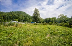 151 White Pine Lane, Vanceburg, KY 41179