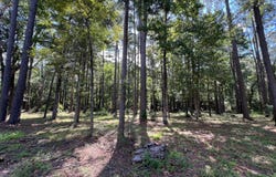 01 Chickamauga Drive and Ponderosa Lane, Zwolle, LA 71486