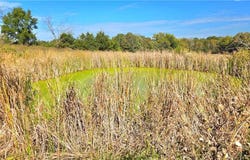 E 900 Road, Pleasanton, KS 66075