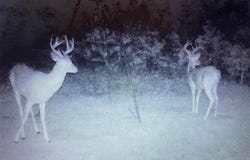 975 N. Lakeview Dr, Palo Pinto, TX 76484