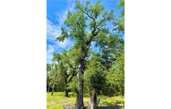 Tbd Tract #15 SHIN OAK DR, Lampasas, TX 76550