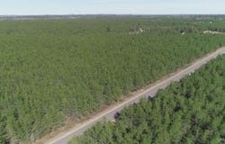 Parcel 3 Rice Lake, Gwinn, MI 49841
