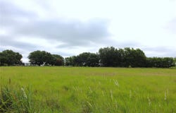 CR-4079, Scurry, TX 75158