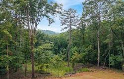 3240 Newport Drive, Ellijay, GA 30540