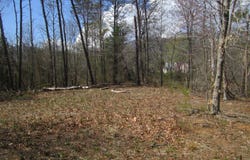 5 Logan Place, Nellysford, VA 22958
